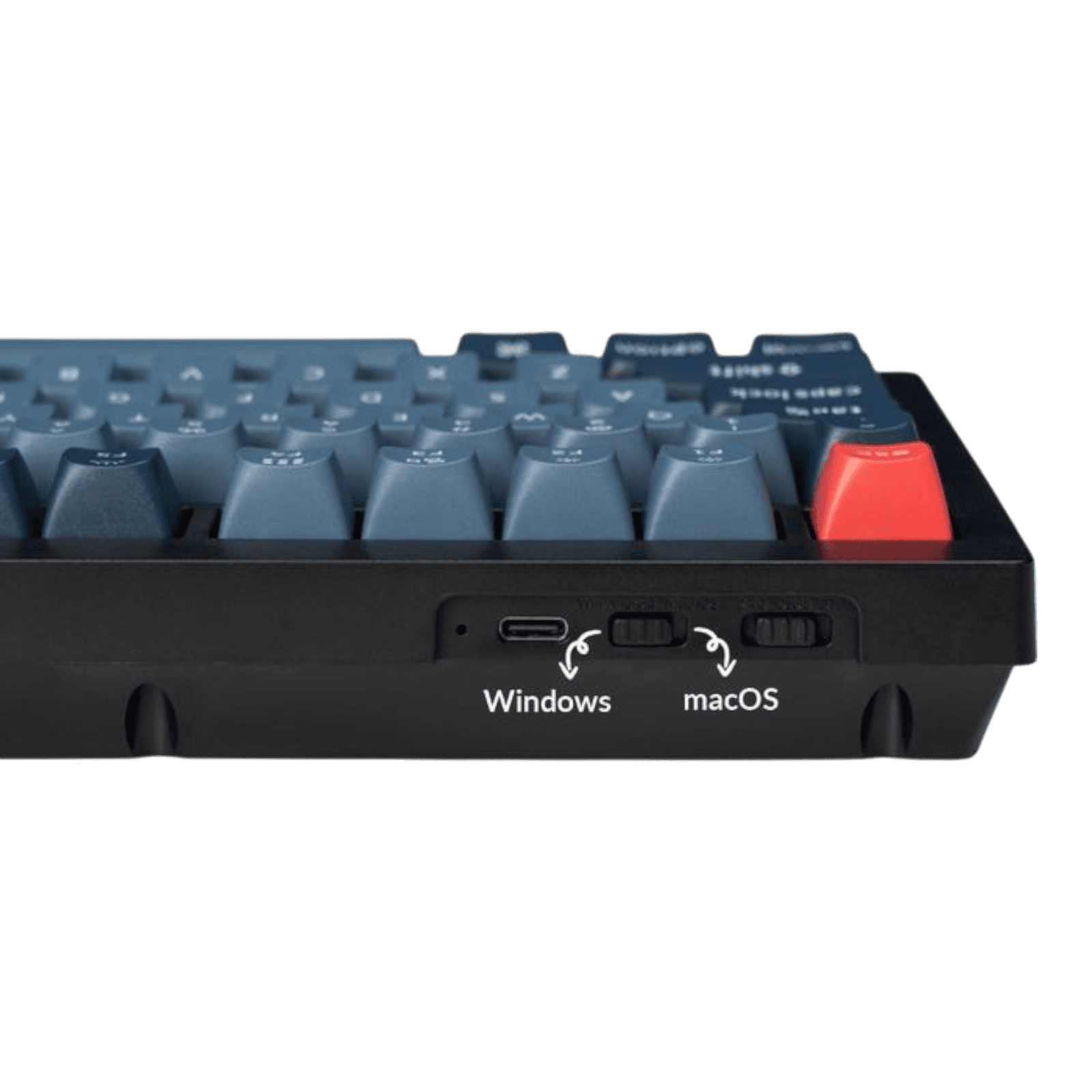 Product view 3
