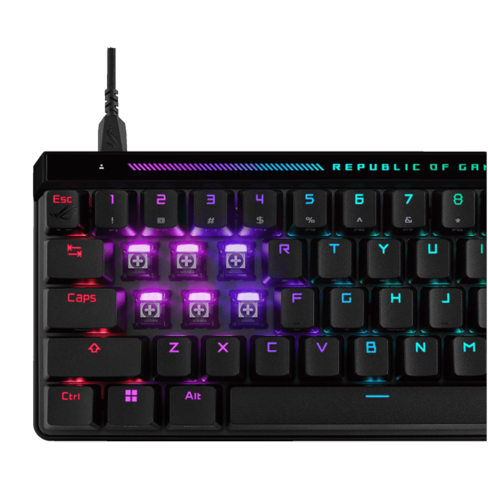 Product view 4