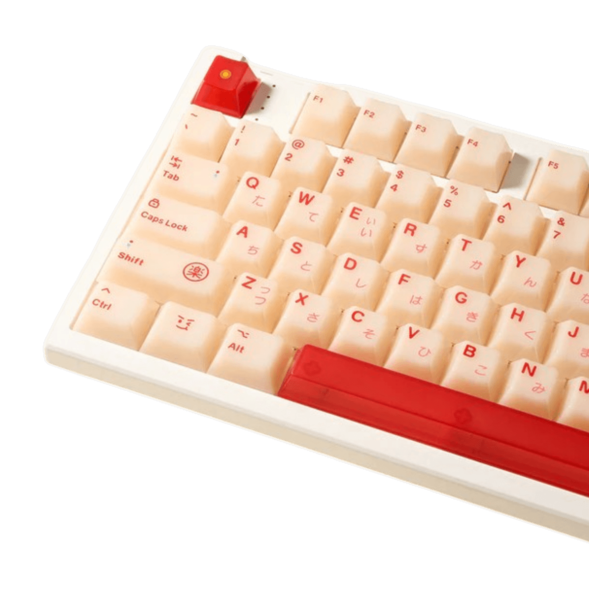 Product view 4