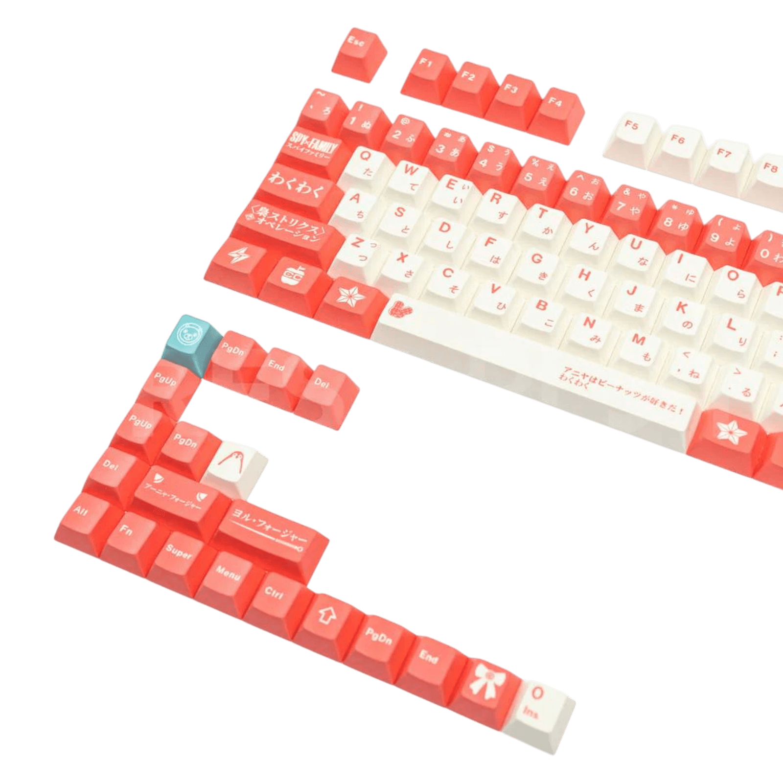Product view 4