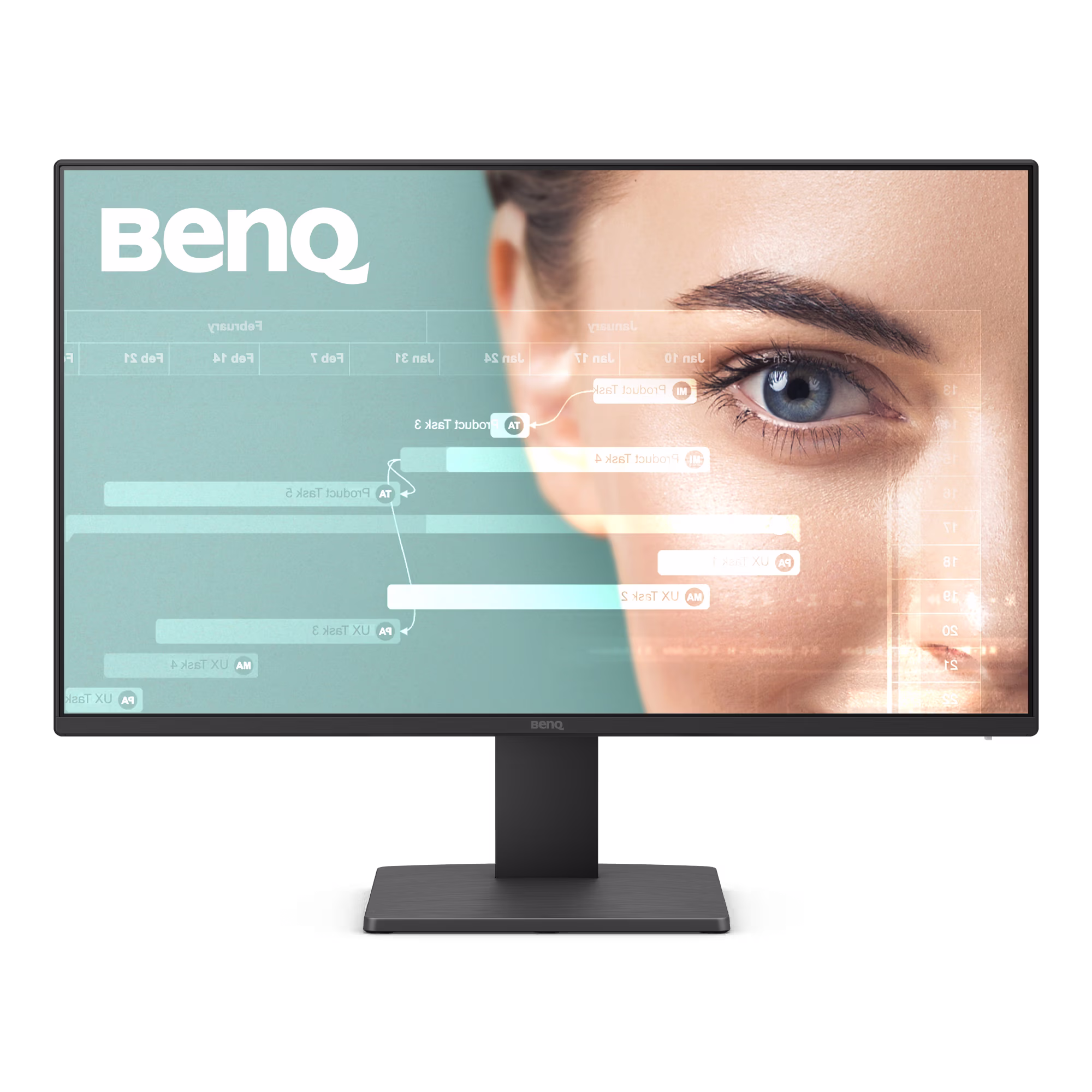 BenQ GW2491
