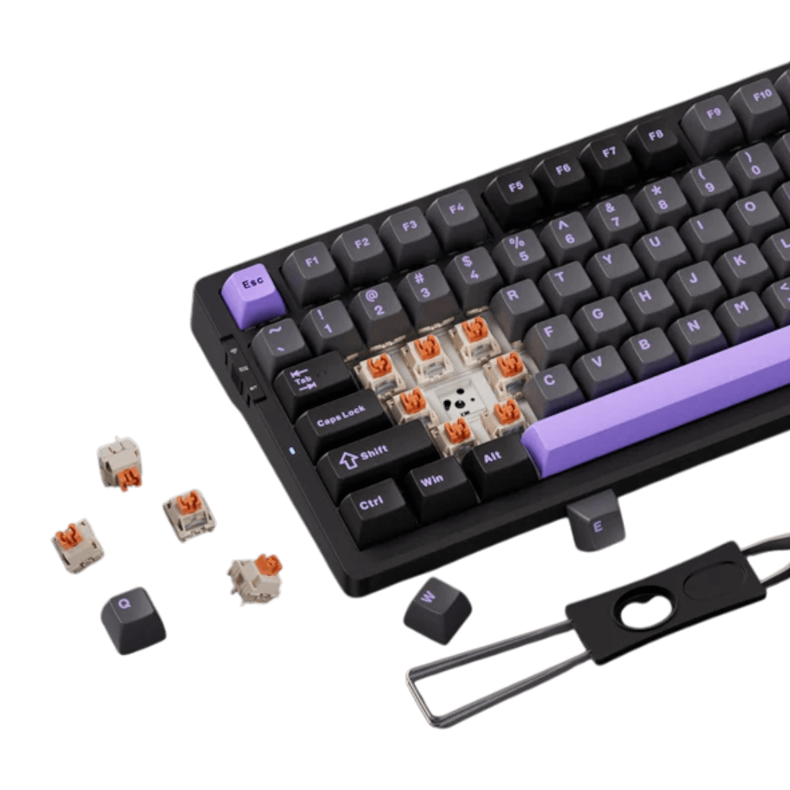 Product view 4