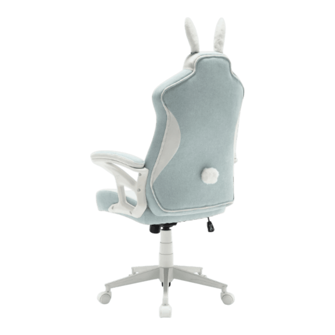 Product view 5