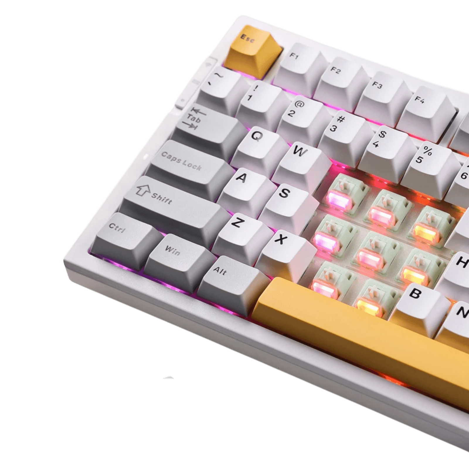 Product view 4