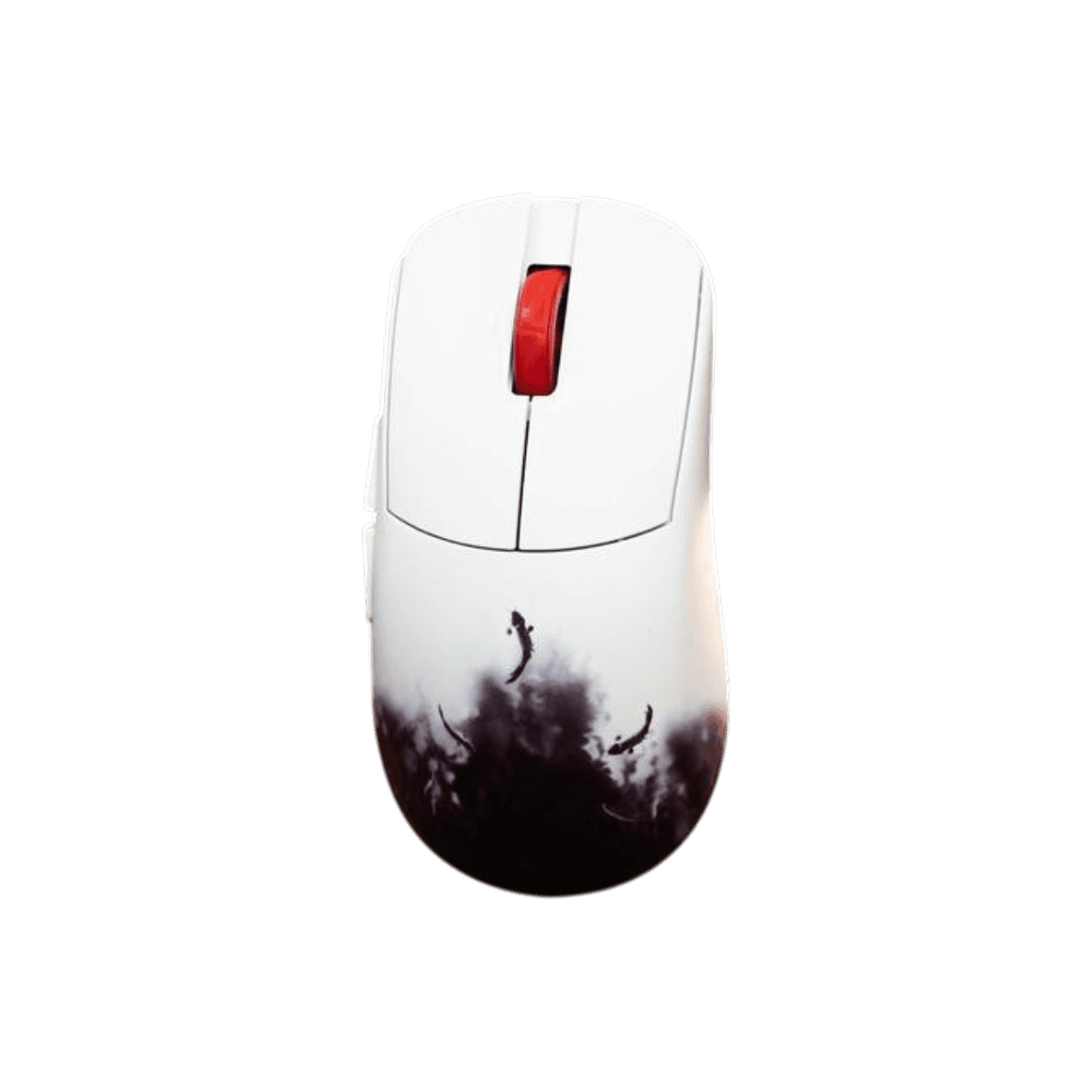 Product view 5