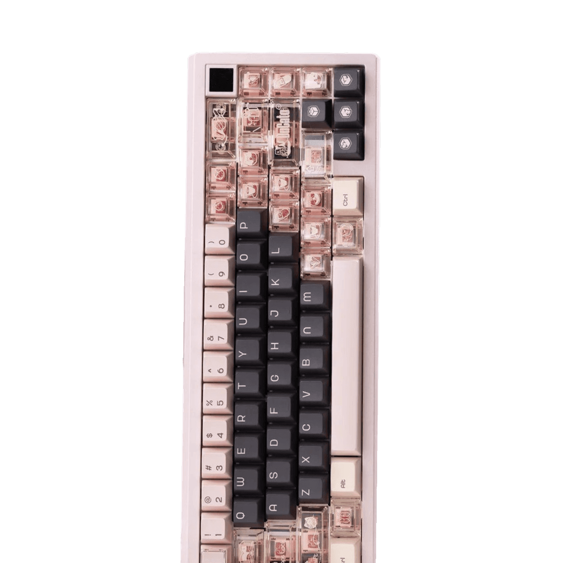 Product view 4